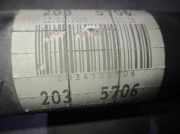 Klima Pumpe Ford + Ti-VCT CAT (3 cil.)