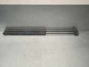 Gasdruckfedern Set Hinten A1697400345 Mercedes-Benz A (W169) Schrägheck 1.5 A-150 3-Drs. (M266.920)