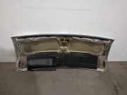 Motorhaube 7901N8 Peugeot BOXER Caja/Chasis 2.2 HDi 100