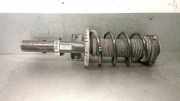 Stoßdämpfer Links Vorne 6Q0413031CF Volkswagen Polo IV (9N1/2/3) Schrägheck 1.4 16V (BKY) BKY