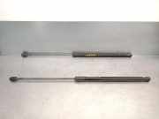 Gasdruckfedern Set Hinten BM51A406A10AE Ford Focus 3 Schrägheck 1.6 TDCi 115 (T1DA)