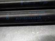 Gasdruckfedern Set Hinten 8V41S406A10AD Ford Kuga I SUV 2.0 TDCi 16V 4x4 (G6DG)