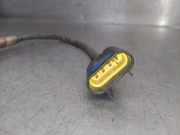 Lambdasonde 55241995 Fiat Tipo (356S) Limousine 1.4 16V (843.A.1000)