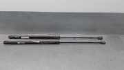 Gasdruckfedern Set Hinten 8731F8 Peugeot 307 (3A/C/D) Schrägheck 2.0 HDi 90 (DW10TD(RHY))