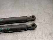 Gasdruckfedern Set Hinten 51242990136 BMW X1 (E84) SUV sDrive 18d 2.0 16V (N47-D20C)