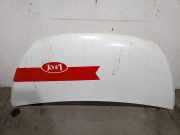 Motorhaube 6000620754 Fiat Furgoneta (296_) 1.6 D