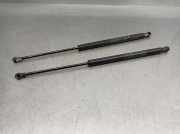 Gasdruckfedern Set Hinten 51785412 Fiat 500 (312) Schrägheck 1.2 69 (169.A.4000)