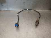 Lambdasonde LX619Y460GA Ford III (DFK) 1.5 Ecoboost