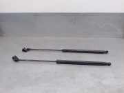 Gasdruckfedern Set Hinten 9654433680 Citroën C4 Picasso (UD/UE/UF) Großraumlimousine 2.0 HDiF 16V 135 (DW10BTED4(RHJ))