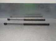 Gasdruckfedern Set Hinten 7701057303 Renault Megane II CC (EM) Cabrio 1.6 16V (K4M-760(K4M-T7))