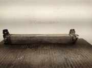 Ladeluftkühler 144961285R Renault Megane III Berline (BZ) Schrägheck 5-drs 1.2 16V TCE 115 (H5F-400(H5F-A4))