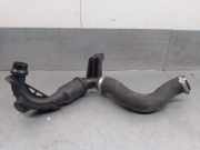 Schlauch L1B16C646BA Ford Fiesta 7 Schr?gheck 1.0 EcoBoost 12V Hybrid 125 (B7JB)