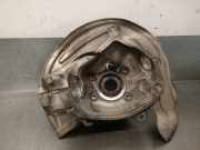 Achsschenkel Halter Links Vorne 31216882599 BMW X3 (G01) SUV xDrive 20d 2.0 TwinPower 16V Mild Hybrid (B47-D20B)