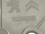 Zierleiste ACHTER ACHTER 9825592580 Peugeot 2008 (UD/UK/UR/US/UX) Großraumlimousine 1.2 VTi 12V PureTech 100 (EB2ADT(HNK))