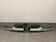 Grill 9628934280 Peugeot 206 (2A/C/H/J/S) Schrägheck 1.4 XR,XS,XT,Gentry (TU3JP(KFX))