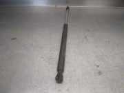 Gasdruckfedern Set Hinten 7700815135 Renault I (C06_) 1.2 (C063, C064)