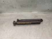 Gasdruckfedern Set Hinten 8402195 BMW X5 (E53) SUV 3.0 24V (M54-B30(306S3))