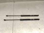 Gasdruckfedern Set Hinten 6Q6827550C Volkswagen Polo IV (9N1/2/3) Schrägheck 1.4 16V (BUD) BUD