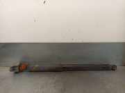 Stoßdämpfer Links Hinten 4M5118080AAE Ford Focus 2 Schrägheck 1.6 16V (HWDA)