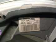 Achsschenkel Halter Rechts Hinten 6Q0501117 Skoda Fabia (6Y2) Schrägheck 5-drs 1.4 TDi (AMF)