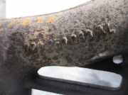 Auspuff Krümmer 028253033AL Volkswagen Caddy II (9K9A) Van 1.9 SDI (AYQ) AYQ