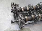 Nockenwelle 6110160304 Mercedes-Benz (W638) CAJA CERRADA 108 CDI (638.094)