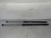 Gasdruckfeder Set Vorne 654702645R Dacia Duster (SR) SUV 1.6 16V (H4M-729(H4M-D7))