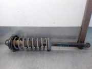 Stoßdämpfer Links Hinten 341801 Ford Fiesta 1 Schrägheck 1.1 L,GL,S,Ghia (GLA(CVH))