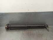 Stoßdämpfer Links Hinten 562101385R Renault Megane IV (RFBB) Schrägheck 5-drs 1.5 Energy dCi 110 (K9K-G6)