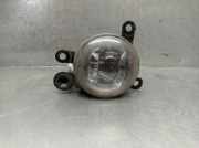 Nebelscheinwerfer Links Vorne 13497329 Opel Corsa F (UB/UH/UP) Schrägheck 5-drs 1.5 CDTI 100 (D15DT(DV5RD))