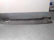 Bodenschutz 960155X00A Nissan NP300 (D40) 2.5 dCi 4WD