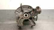 Achsschenkel Halter Links Vorne 2Q0407255AG Seat Ibiza V (KJB) Schrägheck 5-drs 1.0 TSI 12V (DLAA)