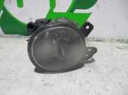 Nebelscheinwerfer Links Vorne A2518200756 Mercedes-Benz CLASE A (W169) 2.0 CDI CAT