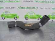 Schlauch 984F9A618AA Ford Transit Ch.Cab/Pick-up 2.5 TD (4EC)