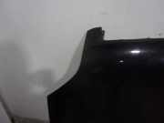 Motorhaube 16612 Ford Fusion Kombi 1.4 TDCi (F6JA)