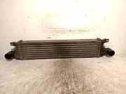 Kraftstoff-Injector C2S31600 Jaguar I Station Wagon (X400) 2.0 D