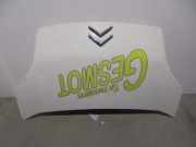 Motorhaube 7901Q1 Citro?n CITRO?N NEMO Nivel B F13DTE5(FHZ)