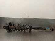 Stoßdämpfer Links Hinten 911220 Ford Fiesta 3 Schrägheck 1.8 C,CL,DC,DCL,Classic (RTD)