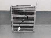 Klima Verdampfer 97139G3000 Hyundai (PDE, PD, PDEN) 2.0 N