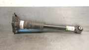 Stoßdämpfer Links Hinten 9842159980 Opel Corsa F (UB/UH/UP) Schrägheck 5-drs Electric 50kWh (ZKX)