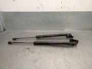 Gasdruckfedern Set Hinten 13387067 Opel Zafira Tourer (P12) Großraumlimousine 2.0 CDTI 16V 130 Ecotec (A20DT)