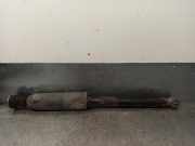 Sto?d?mpfer Rechts Hinten 50701243 Fiat Stilo (192A/B) Schr?gheck 1.8 16V (192.A.4000)