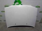Motorhaube 6757255 Ford ESCORT BERLINA/TURNIER 1.6 16V CAT