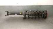 Stoßdämpfer Links Hinten 562104GE0C Infiniti 50 D