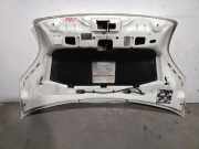 Motorhaube 7901Q1 Citroën CITROËN NEMO 1.3 HDi FAP