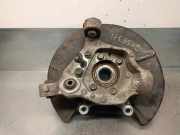 Achsschenkel Halter Links Hinten 430191CA0A FX (S51) SUV 37 3.7 V6 24V AWD (VQ37VHR)