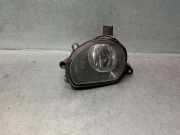 Nebelscheinwerfer Rechts Vorne 8P0941700A Audi A3 Sportback (8PA) Schrägheck 5-drs 1.9 TDI (BXE)