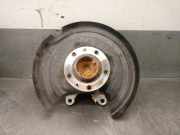 Achsschenkel Halter Links Hinten 9820098380 Citroën C5 Aircross I (A4/AC/AJ/AR) SUV 1.2 e-THP PureTech 130 (EB2ADTS(HNS))