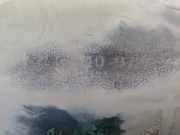 Innenkotflügel Rechts Hinten 7L6810972 Volkswagen Touareg (7LA/7L6) SUV 2.5 TDI R5 (BAC) BAC