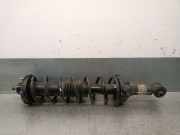 Stoßdämpfer Links Hinten RPD102950 Rover 25 Schrägheck 1.6 16V (16K4F)